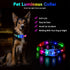 2 Pack Light Up Dog Collars, LED Rechargeable Waterproof Buckle Glow Collar for Medium Large Dogs, Neck 14.17-24.8"