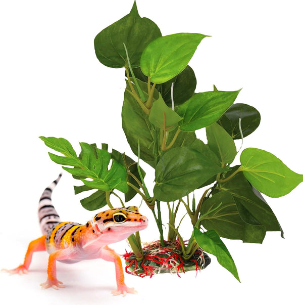 SunGrow Gecko & Reptile Tank Decor - Artificial Plant (Gecko Anubias - Plastic)