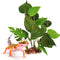 SunGrow Gecko & Reptile Tank Decor - Artificial Plant (Gecko Anubias - Plastic)