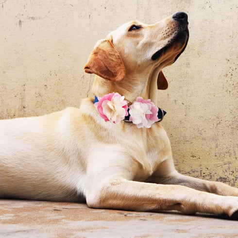 PET SHOW 16pcs 2.4" Dog Collar Charms, Flower Accessories for Cat Puppy Collars