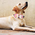PET SHOW 16pcs 2.4" Dog Collar Charms, Flower Accessories for Cat Puppy Collars