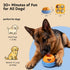 Set, Frozen Nocciola Enrichment Dog Licking Toy Treat Molds & Interactive Feeder for Aggressive Chewers, Freezable