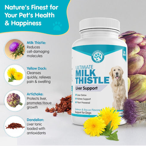 Wanderfound Pets Milk Thistle for Dogs, Tasty Salmon & Bacon Flavored Natural Liver Support, 100 Chewable Tablets