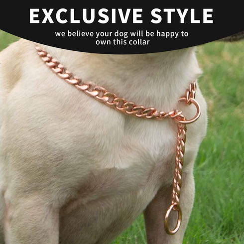 JYHY Stainless Steel P Chock Metal Chain Dog Necklace Collar, Walking Training Supplies for Small Medium Large Dogs