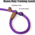 Mile High Life Slip Leads for Dogs, Heavy Duty Dog Training Leash, 4 Feet No Pull Slip Leashes with Leather Tip