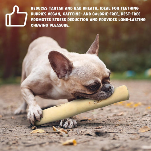 Hiboom 4 Pcs Dog Chew Sticks, Coffee Wood Chew Toy for Dogs, Safe Natural Healthy Bones for Chewing and Teeth Cleaning