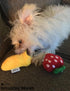 Puppy Toys - 7 PCS Adorable Plush Chews for Small Dogs, Safe Interactive Teething Playmates