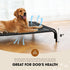 Elevated Dog Bed, Raised Outdoor Bed for Large Dogs, Portable Cooling Pet Cot with Washable Mesh, Skid-Resistant Feet