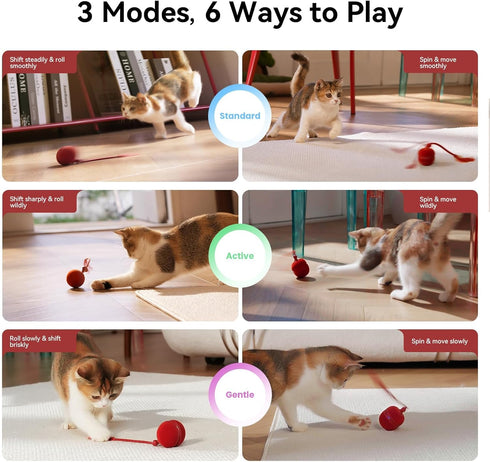 2 1 Duo2 Cheerble in Interactive Cat Toys for Indoor Cats - Wicked Ball Automatic Cat Toy, Dual Interchangeable Shells