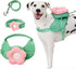 VETRESKA Flora Dog Harness, Leash and Collar Set | No Pull Vest Harness for Walking and Training, Adjustable, M