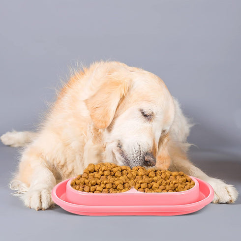 2 Pieces Cat Food Bowls, Plastic Double Pet Bowls for Cats and Dogs, No Spill (Pink and Light Blue)