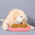 2 Pieces Cat Food Bowls, Plastic Double Pet Bowls for Cats and Dogs, No Spill (Pink and Light Blue)