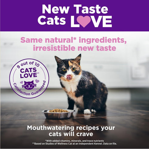 Wellness Complete Health Natural Dry Kitten Food with Wholesome Grains, Made in USA with Real Meat (Kitten, Chicken