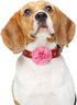 WILLBOND 4 Pieces Dog Flower Bow Collar, Multicolored Pet Bow Collar Charms Set for Puppy Cat Grooming