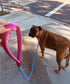 2FT to 10FT Reflective Dog Leash - Strong Nylon Rope Braided Training Leash for Extra Large Medium Dogs (Pink, 6 Foot)