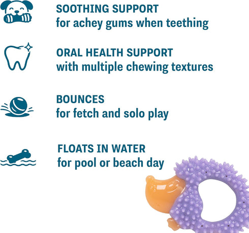 5" 3.5" 1" Cutie Chewies Hedgehog Dental Dog Chew Toy Multi-Textured, Massages Gums, Floats & Bounces for Teething