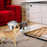 Pet Dog Water Bowl for Cage, Stainless Steel Non-Spill Hanging Bowl with Clamp Holder for Small Medium Large Dogs