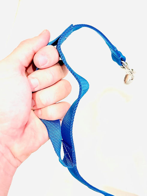 Neewa Dog Leash with Handle, One-Size-Fits-All, Red