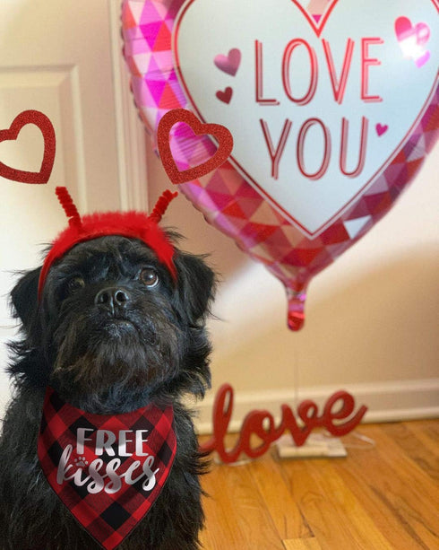 Valentines Day Dog Costume, Red Heart Headband and Buffalo Plaid Pet Bandana