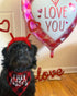 Valentines Day Dog Costume, Red Heart Headband and Buffalo Plaid Pet Bandana