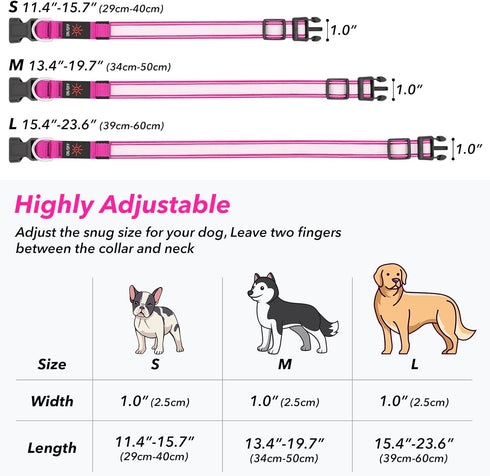Light Up Dog Collars, Rechargeable Waterproof Glow Collar for Pet Safety, Fully Adjustable for Small Medium Large Dogs