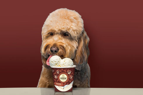Packet, 4 Pack 4 count 4.65 oz Hoggin Dogs Ice Cream Mix - Just Add Water and Freeze, Doggy Ice Cream Mix Gifts