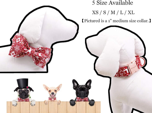ARING PET Dog Collar with Bowtie - Adjustable Collars for Small, Medium, Large, and X-Large Dogs