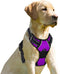 BARKBAY No Pull Dog Harness, Front Clip Heavy Duty Reflective Easy Control Handle for Large Dogs (Purple, S)