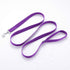 Strong Durable Nylon Dog Training Leash - 1 Inch Wide Traction Rope, 6 ft 10ft 15ft Long, Purple
