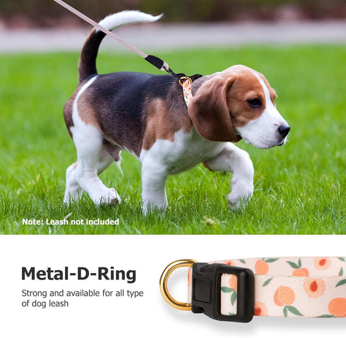 Handmade Dog Collar for Small Medium Large Dogs, White Peach with Pendant, Ideal for Girl and Boy Dogs