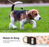 Handmade Dog Collar for Small Medium Large Dogs, White Peach with Pendant, Ideal for Girl and Boy Dogs
