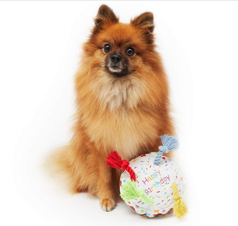 PET LONDON Dog Birthday Cake Squeaky Toy - Soft Plush with Rope Candles in Bright Colors for Dog Birthday Celebrations