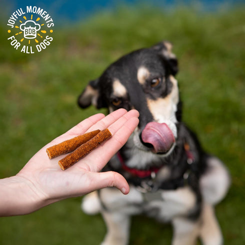 #1 6 oz (Pack 1) Blue Dog Bakery Protein Jerky Meat Sticks, Made w/USA Beef Ingredient, Healthy Dog Treats, All