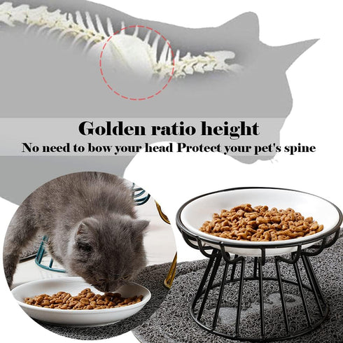Cat Bowls, Elevated Cat Bowl, Raised Ceramic Cat Dish with Metal Stand, Pet Water or Food Feeding Station for Indoor Cats, Kitten, Puppies and Small Dogs, Dishwasher Safe