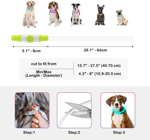 Light Up Dog Collars, USB Rechargeable Dlitk LED Dog Collar, Glow Collar for Large Medium Small Dogs (Cyan)