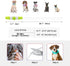 Light Up Dog Collars, USB Rechargeable Dlitk LED Dog Collar, Glow Collar for Large Medium Small Dogs (Cyan)