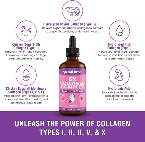 Immune 4oz Premium Collagen for Dogs - Liquid Support for Joints, Skin, Coat, Bone, System & HIPS - Collagen Supplement