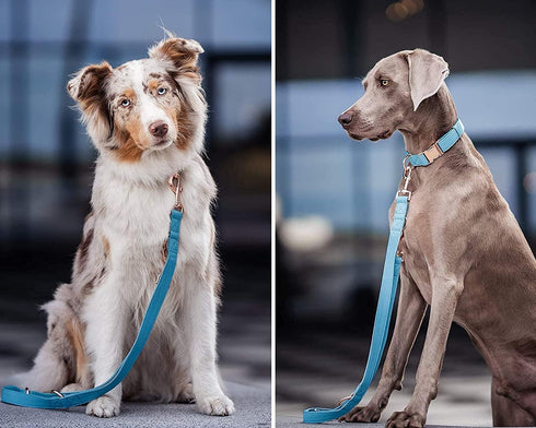 Soft Leather Dog Collar and Leash Set (6.6'), Stylish Rose Gold Heavy Duty Metal Buckle, 4 Adjustable Lengths for Small