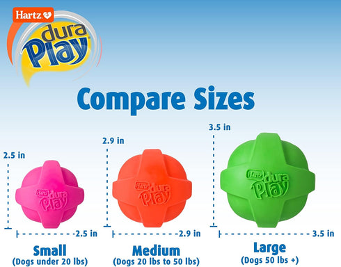 Hartz DuraPlay Ball Squeaky Latex Dog Toy, Large 3 Count Pack in Neon Green, Neon Pink & Neon Orange