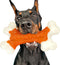 Dog Toys for Aggressive Chewers Large Breed - Tough Bones, Nylon Puppy Teething Chew Toys for Medium Dogs