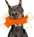 Dog Toys for Aggressive Chewers Large Breed - Tough Bones, Nylon Puppy Teething Chew Toys for Medium Dogs