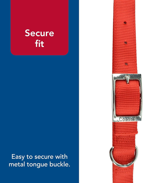 Coastal Pet Double-Ply Dog Collar, Blue, 1" x 22"
