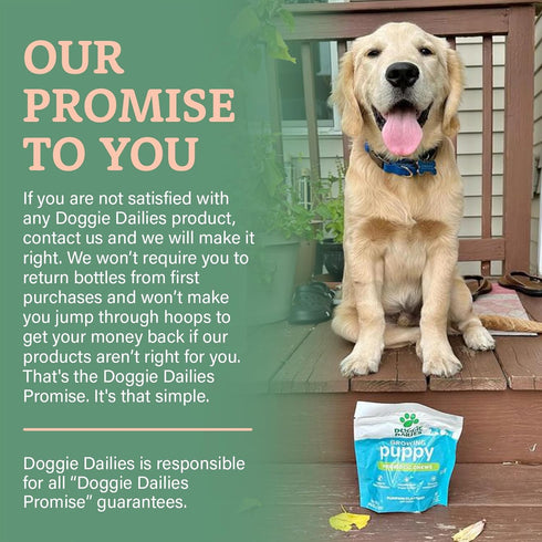 Doggie Dailies Puppy Probiotic | 120 Soft Chews for Digestive Health & Immune Support in Puppies