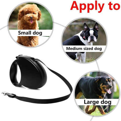 Auto Retractable Dog Leash, Explore Training Lead - 10 Ft/16.12Ft Pet Dog Walking Running Rope
