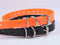 27 ½” X ¾” Replacement Dog Collar Strap Band, 2-Pack for Pet Training, Variety of Colors & Reflective Choices