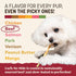 40 Count Pack Earth Animal No Hide Stix - Long Lasting Rawhide Free Small Dog Chews Sticks, Beef - Extra Value
