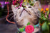 Spring Cat Collar, Floral Kitten Collar Breakaway, Flower Dog Collar for Small Female Dogs