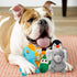 SHARLOVY Dog Squeaky Toys for Small Dogs, Stuffed Animal Chew Toy, Soft Plush Pet Toys Pack of 12 in Gift Box