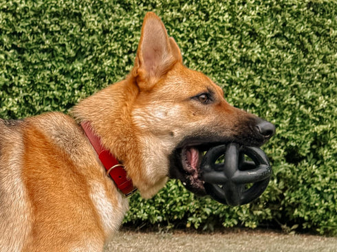 Tuff Pupper SuperChewy Cage Ball for Dogs | Durable Heavy Duty Natural Rubber | Tough Chew Toy for Medium Large Breeds