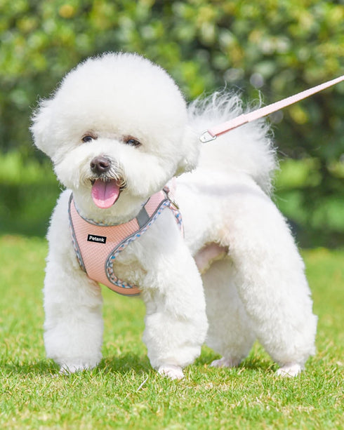 Petank Dog Harness for Small Medium Dogs No Pull, Puppy Harness and Leash Set, Easy Walk Dog Harness for Walking, Running, Training, Small Dog Harness, Medium Dog Harness (Pink, XXS)